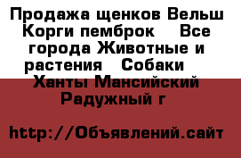 Продажа щенков Вельш Корги пемброк  - Все города Животные и растения » Собаки   . Ханты-Мансийский,Радужный г.